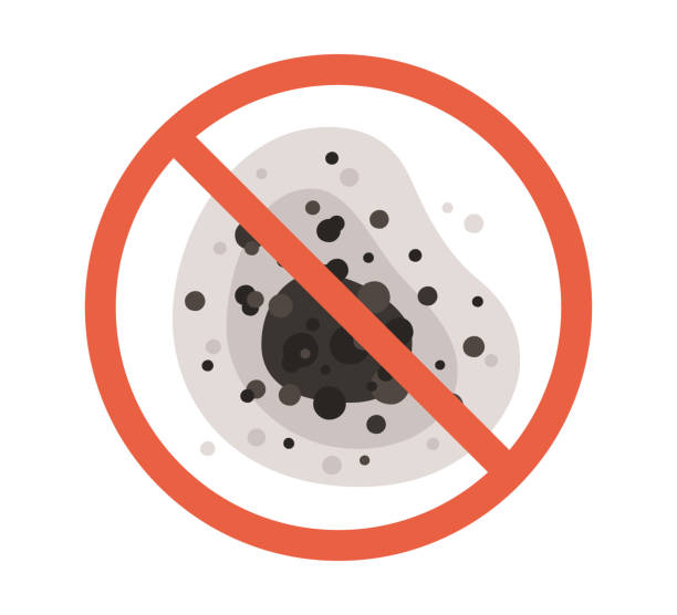 Best Mold Documentation for Insurance Claims  in Hendersonville, NC