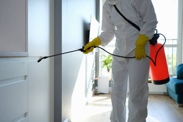 Best Commercial Mold Inspection  in Hendersonville, NC