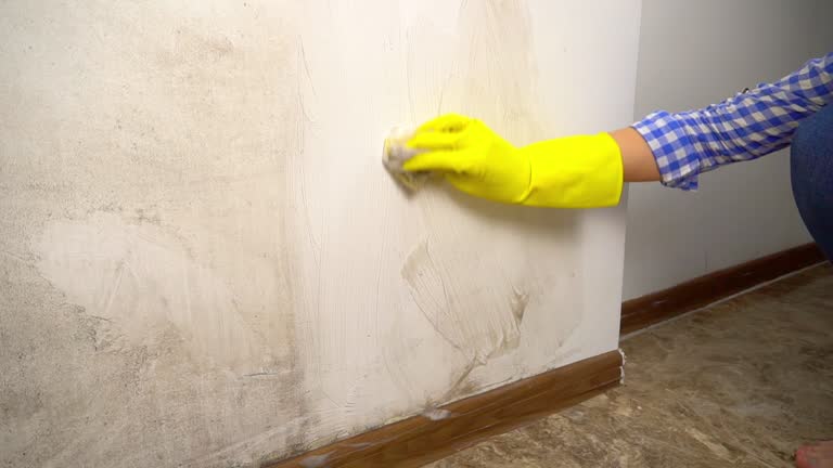 Best HVAC Mold Inspection and Cleaning  in Hendersonville, NC