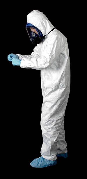 Best Asbestos and Lead Testing During Mold Inspection  in Hendersonville, NC