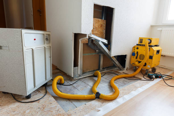 Mold Remediation for Rental Properties in Hendersonville, NC